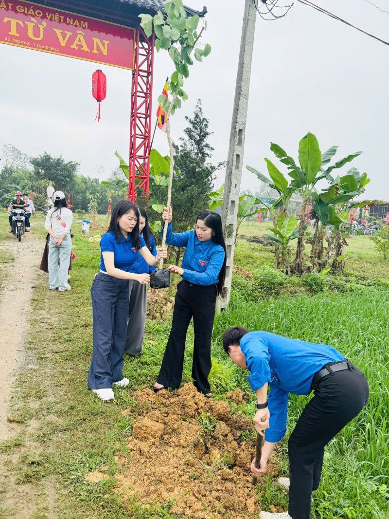 trồng c&acirc;y.jpg