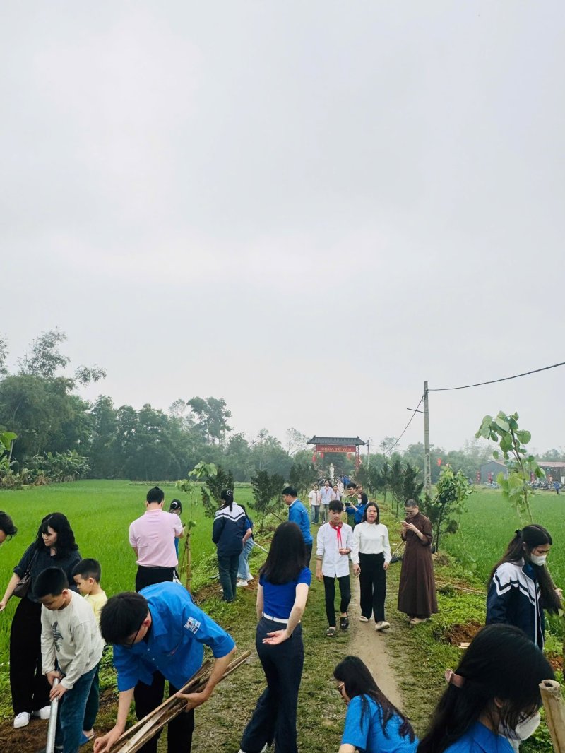 to&agrave;n cảnh c&acirc;y.jpg